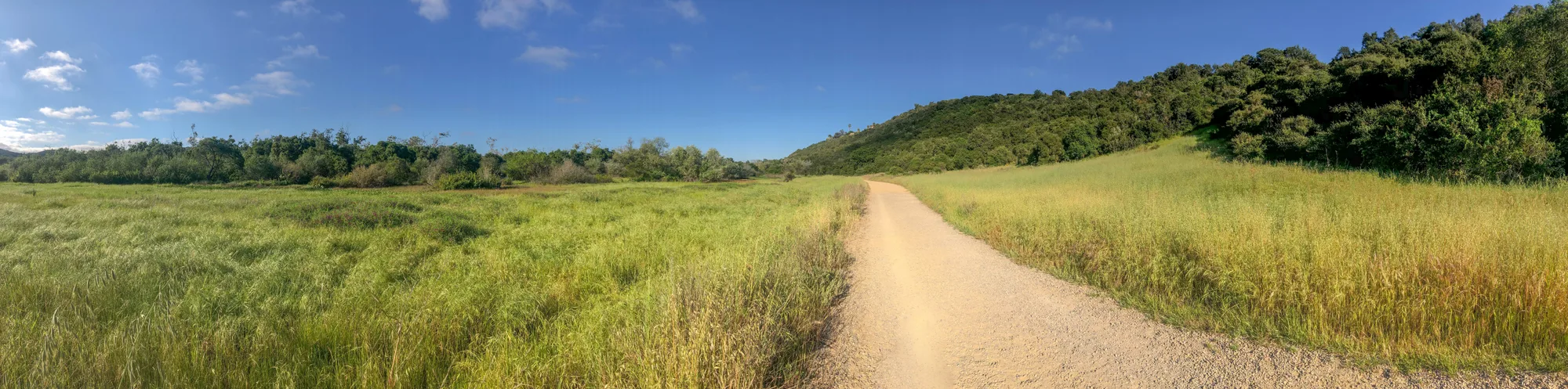 Los Peñasquitos Canyon Preserve near Mira Mesa, San Diego