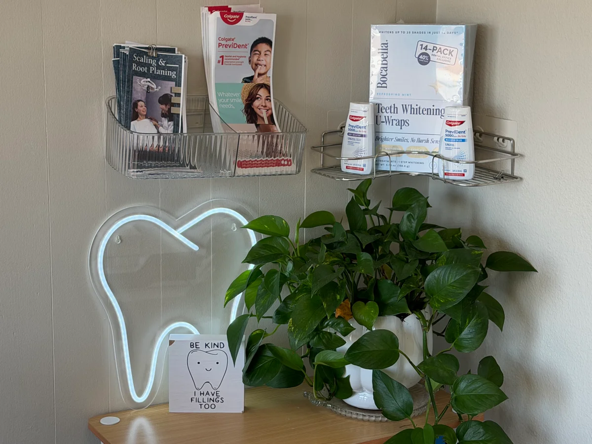 Dental care display with an illuminated tooth and a plant at Mesa Dental Group